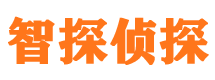 廛河外遇出轨调查取证